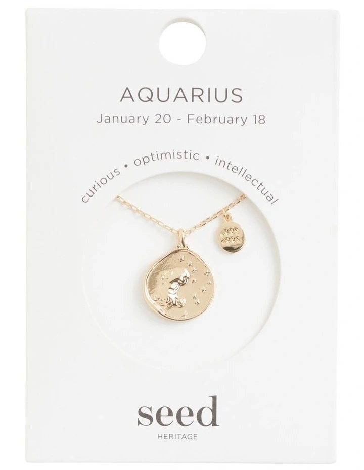 Aquarius Zodiac Necklace In Gold 4 Aquarius Zodiac Necklace In Gold - Image 4